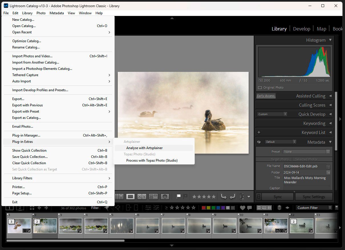 Lightroom Classic — File > Plug-in Extras > Analyse with Artsplainer