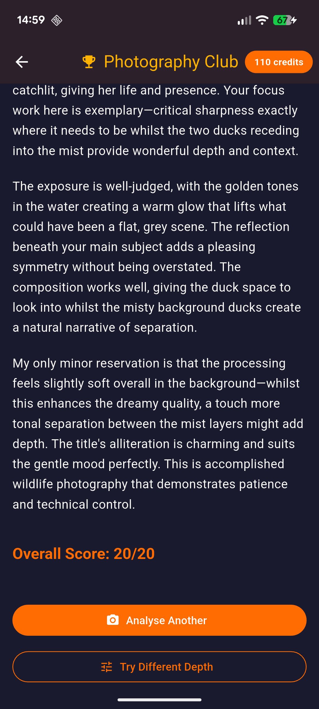 Competition Judge scoring