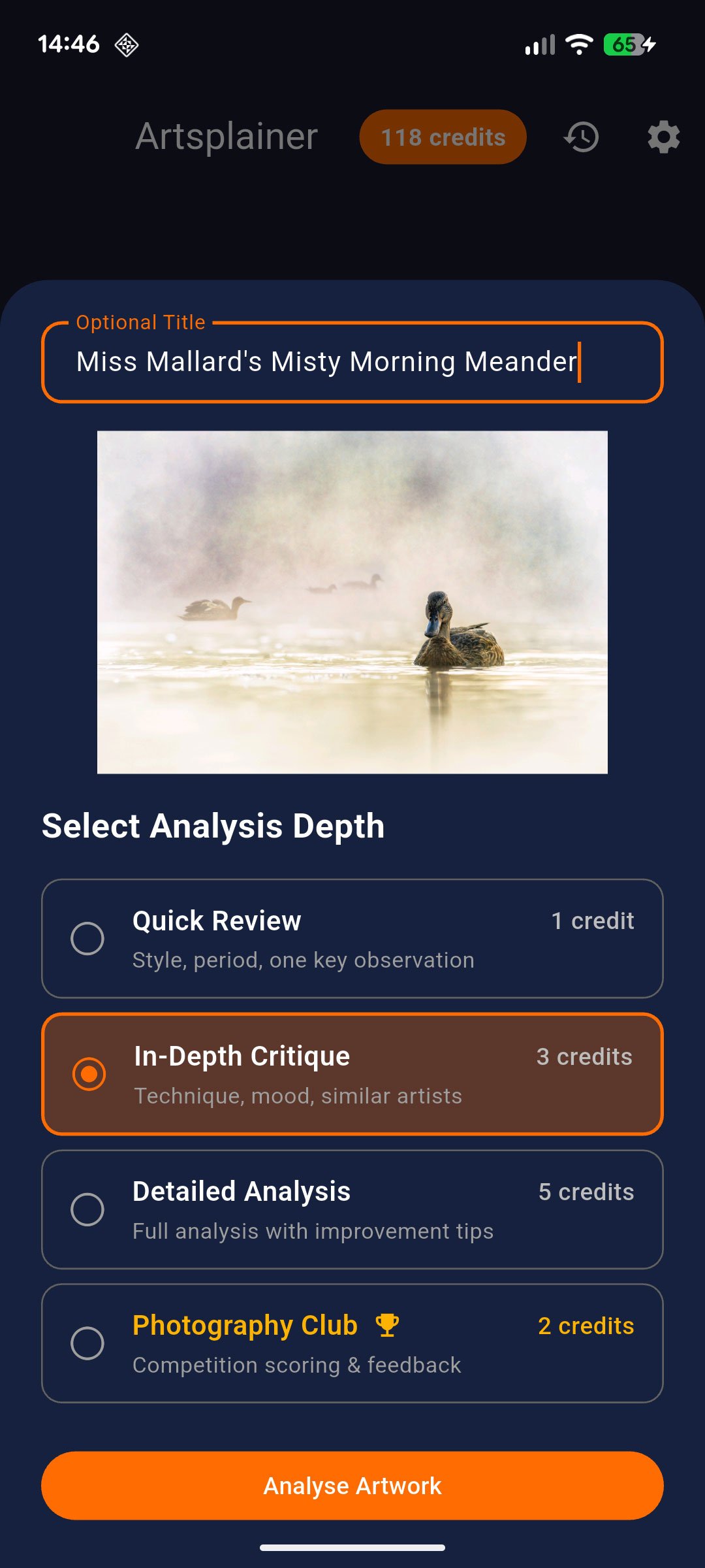 Choose analysis depth
