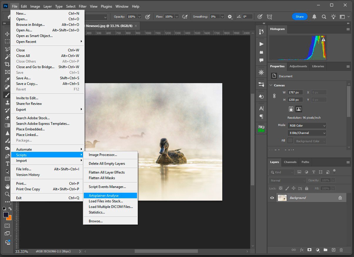Photoshop — File > Scripts > Artsplainer Analyse